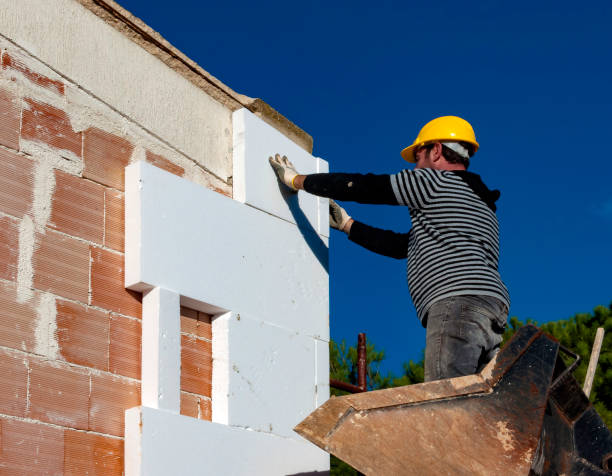 Best Cellulose Insulation in Ridgway, PA
